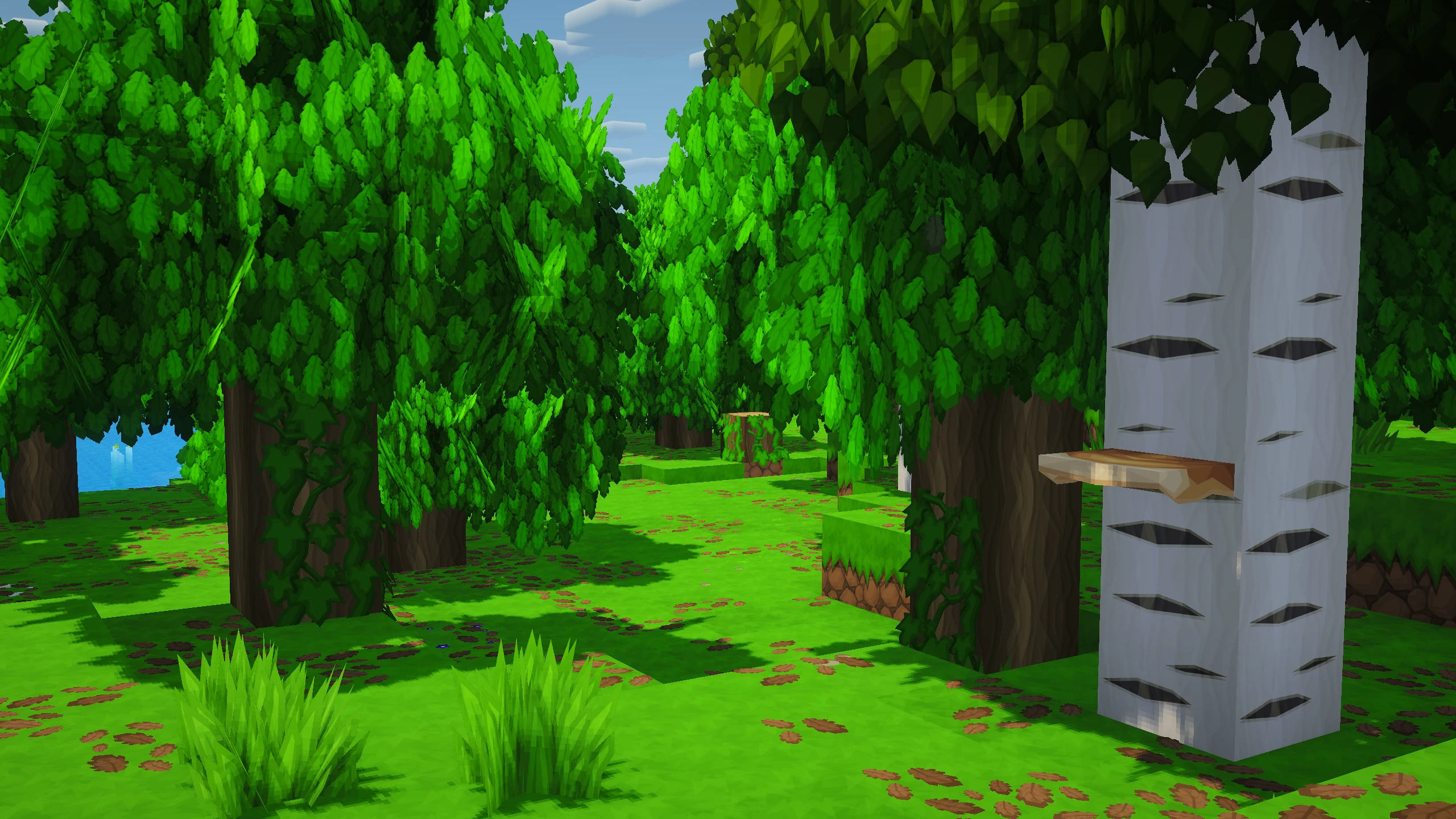 Lush Leaves