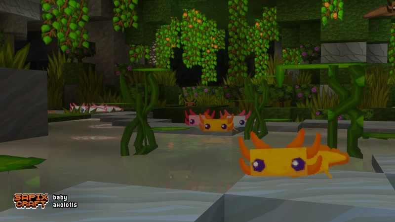 Baby axolotls