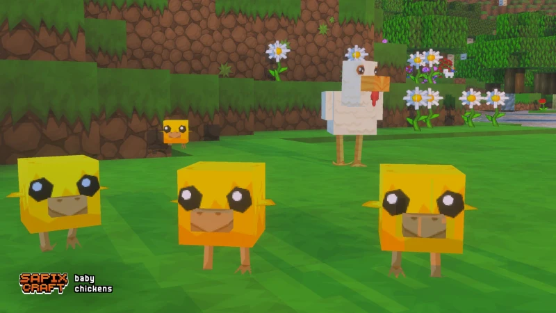 Baby chickens