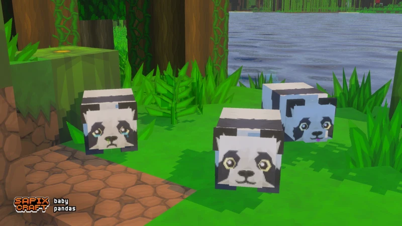 Baby pandas