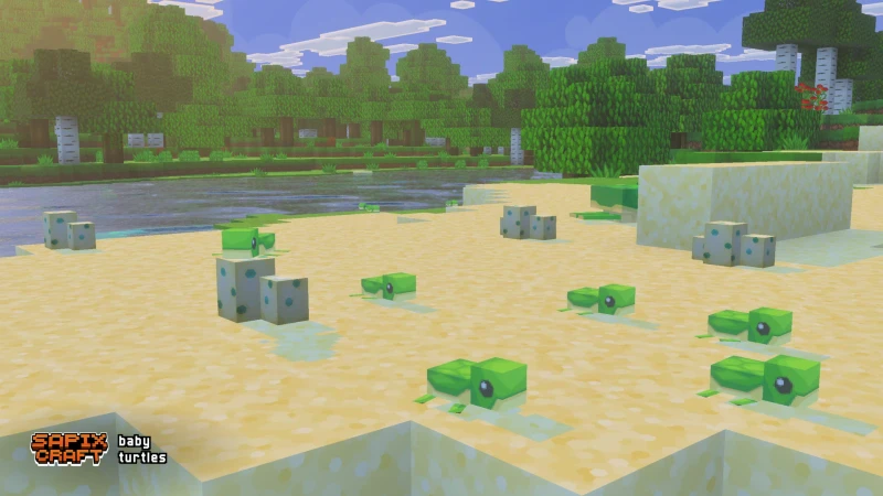 Baby turtles