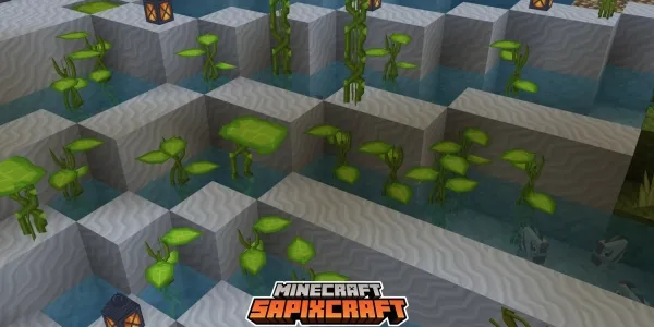 Sapixcraft clay and pads